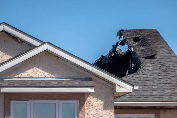 Licensed Fire Damage Removal service in Winsted, MN - Fire Damage Biloxi